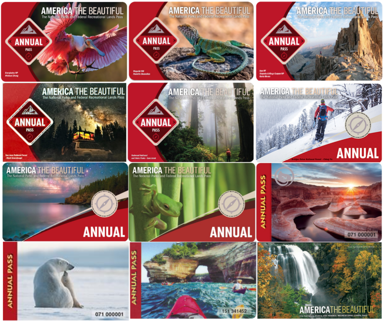A selection of previous "America the Beautiful" annual passes for US national parks.
