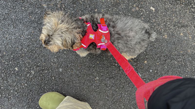 RUFFWEAR ハーネス　XXS RUFFWEAR/フロントレンジハーネス /ムーンライトマウンテン XXS～L