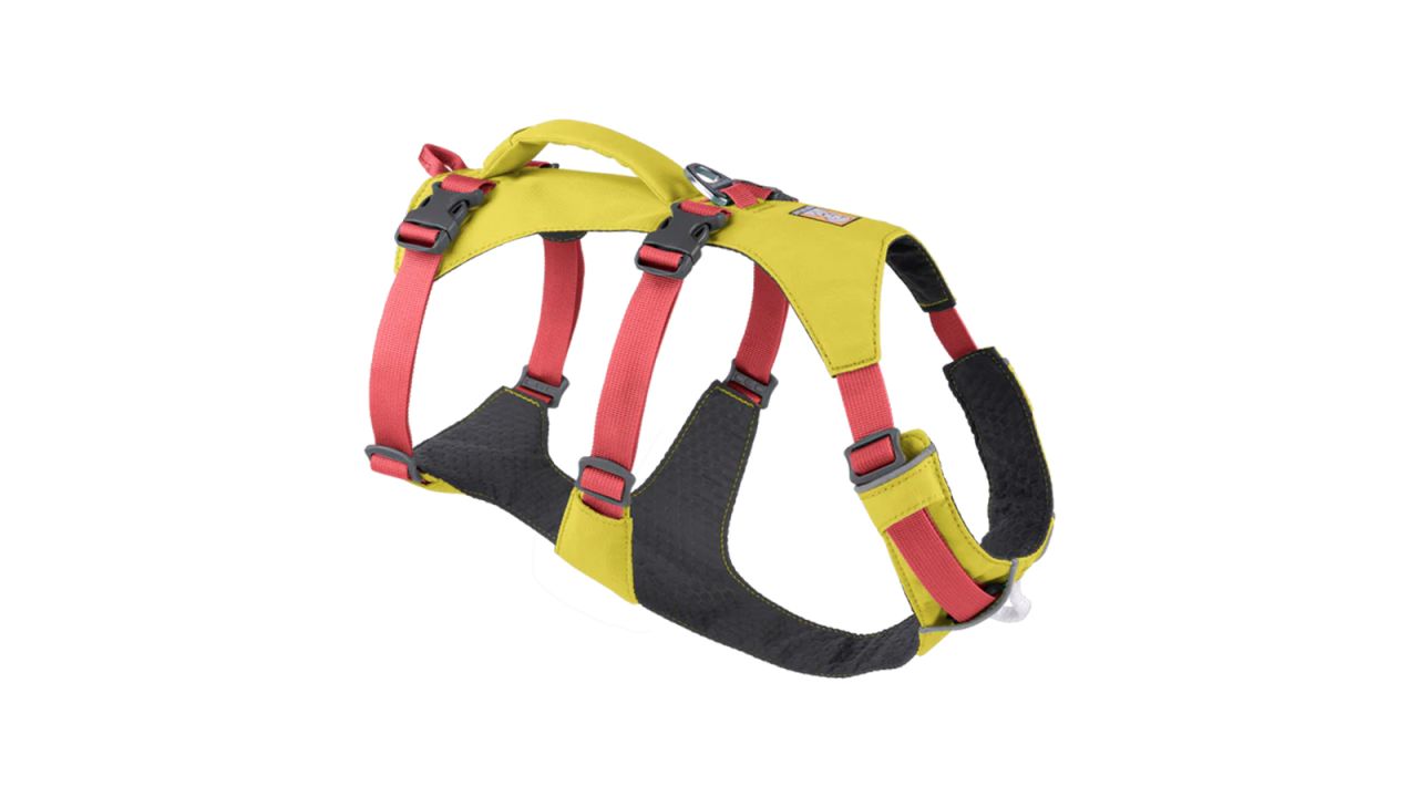 Ruffwear Flagline Harness in lichen green.