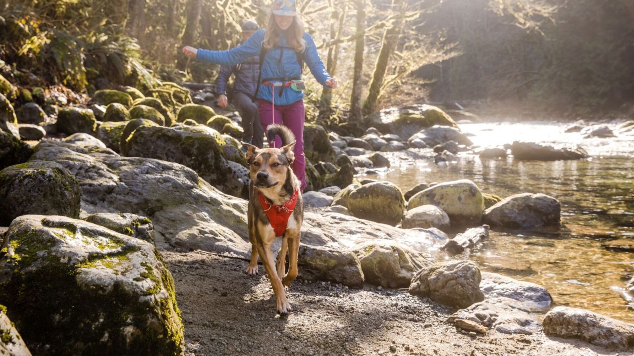 Hikerly — Need hiking gear? Our favorite spots to shop: Sports Basement,  REI, The Clymb and more