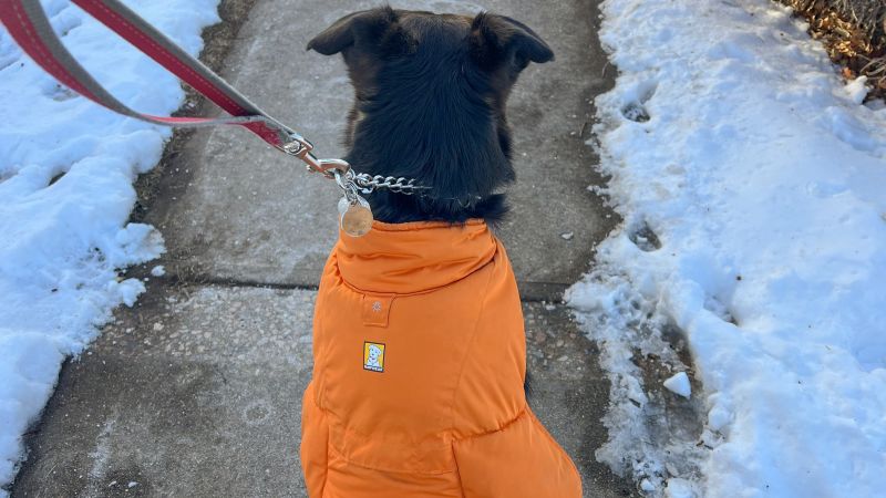 Ruffwear quinzee dog on sale jacket