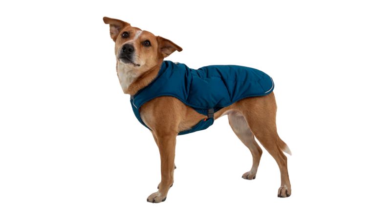 Ruffwear Quinzee Dog Jacket review CNN Underscored