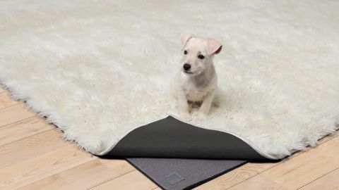 Ruggable Rug We Tested The Brand, How Soft Are Ruggable Rugs