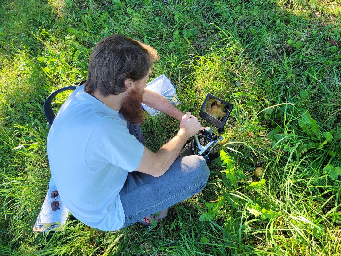 Researchers at Ryan Greenway, a technical assistant at the Max Planck Institute for Animal Behavior in Germany, set up a field microscope that allows you to record videos of natural worm towers.