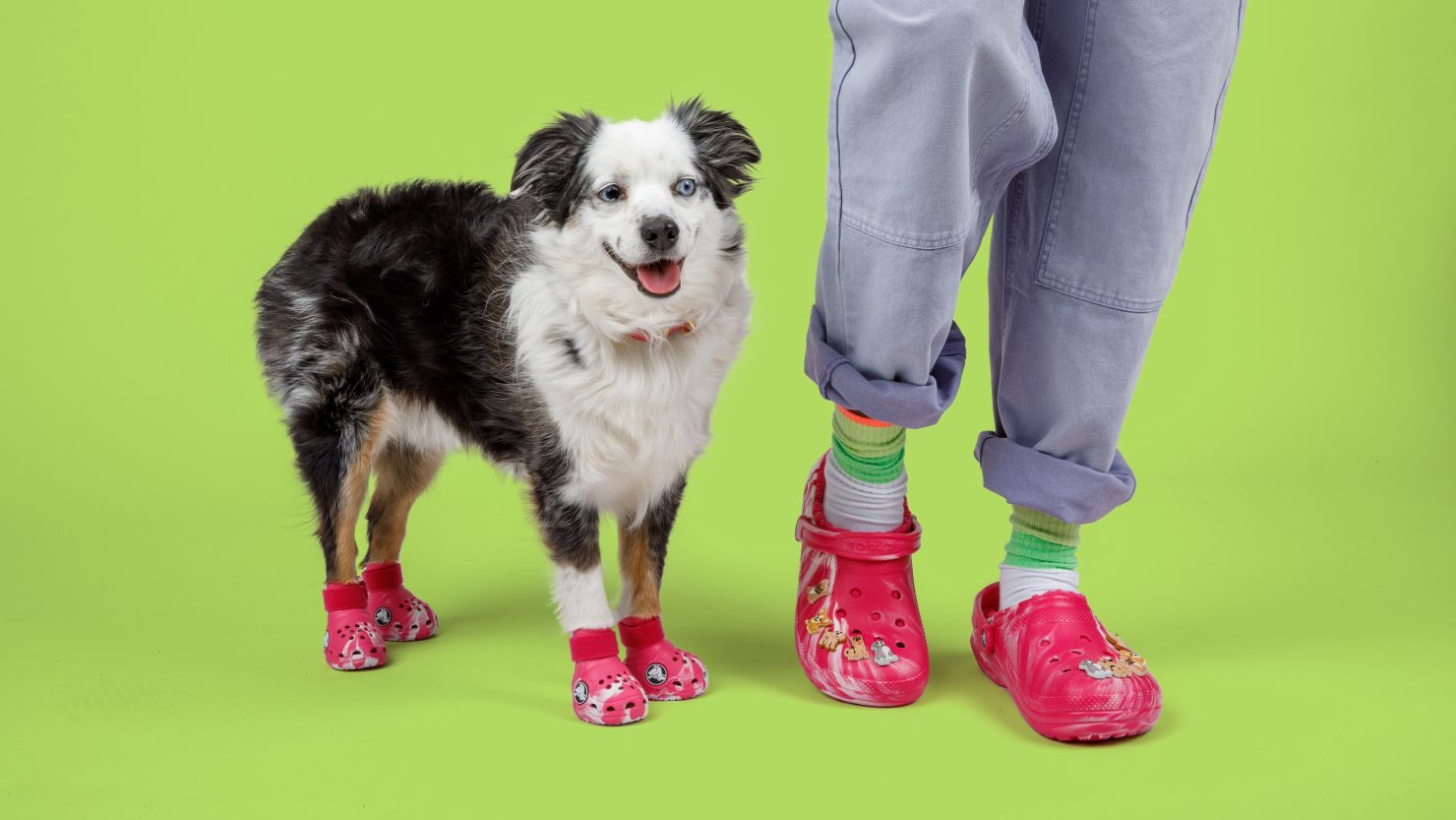 Pet Crocs & Classic Lined Clogs