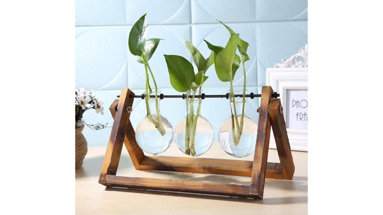 Sage & Sill Glass Propagation Vase With A-Frame Wooden Stand.jpg