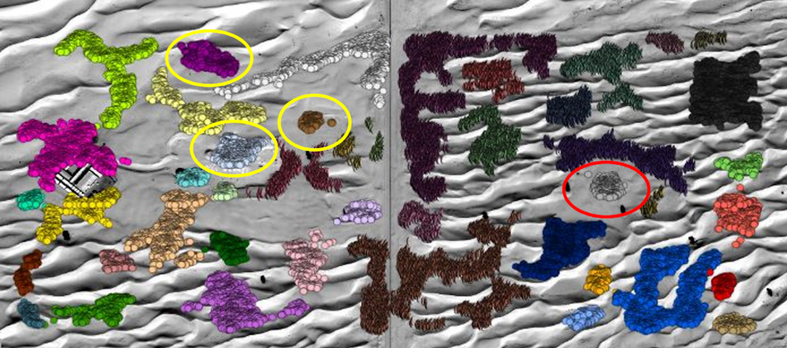 This annotated satellite image shows the previous and ongoing excavations (yellow circle), and the areas the AI predicted for potential buried structures (red circle).