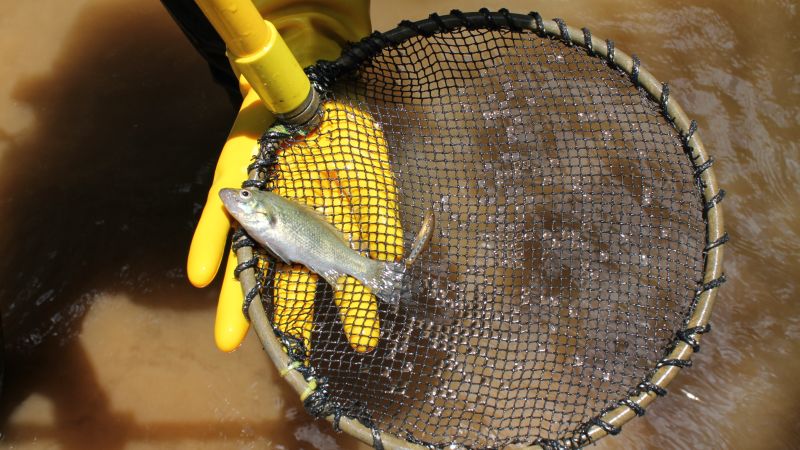 Вижте всички теми Връзката е копирана Следвайте По дължината на