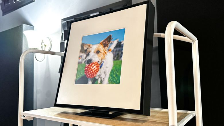 Samsung's Music Frame displays a dog with a ball in its mouth.