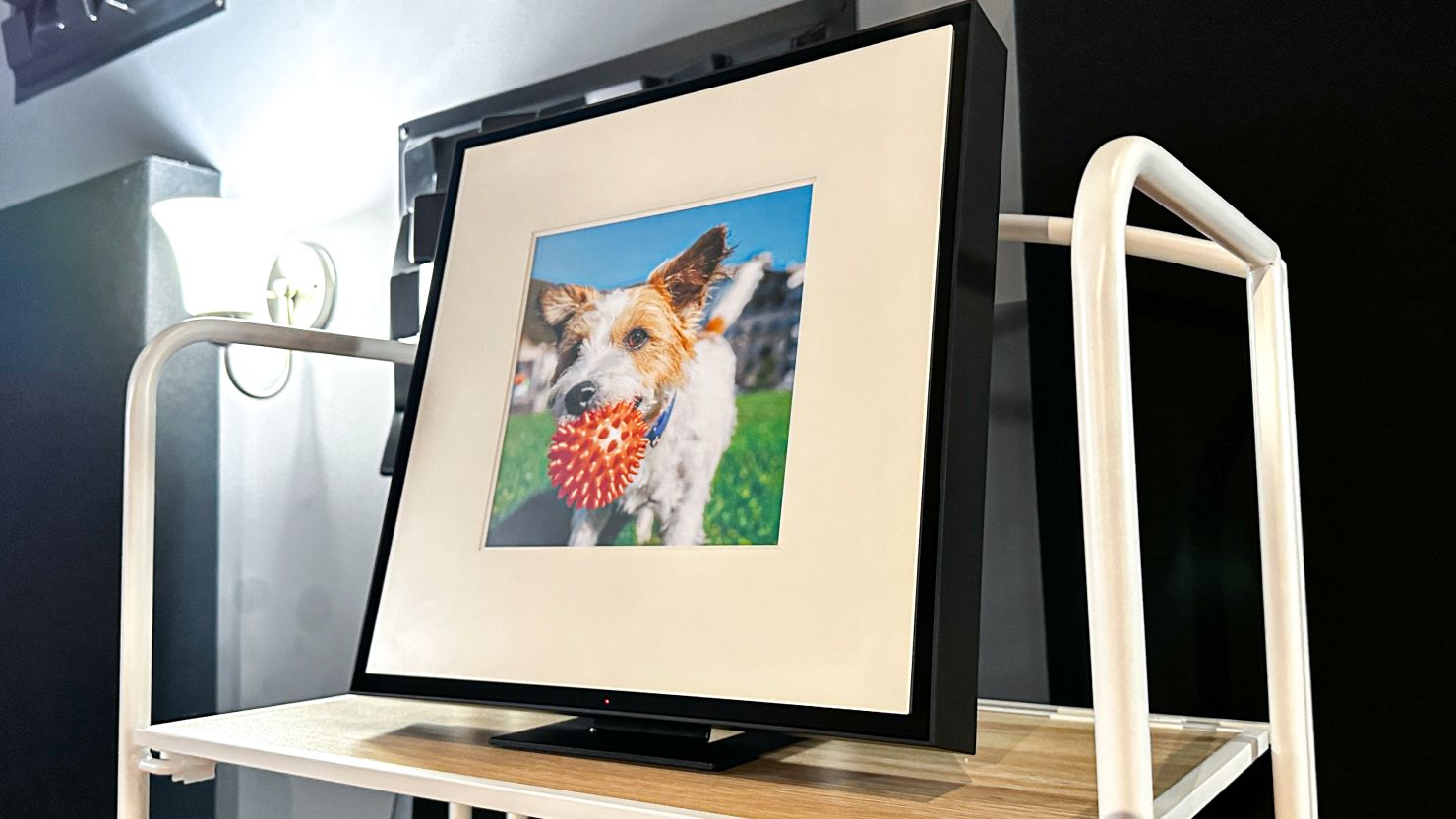 Samsung's Music Frame displays a dog with a ball in its mouth.