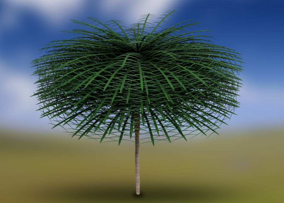 This model rendering of the newly discovered Sanfordiacaulis tree includes simplified branching structure for easier visualization.