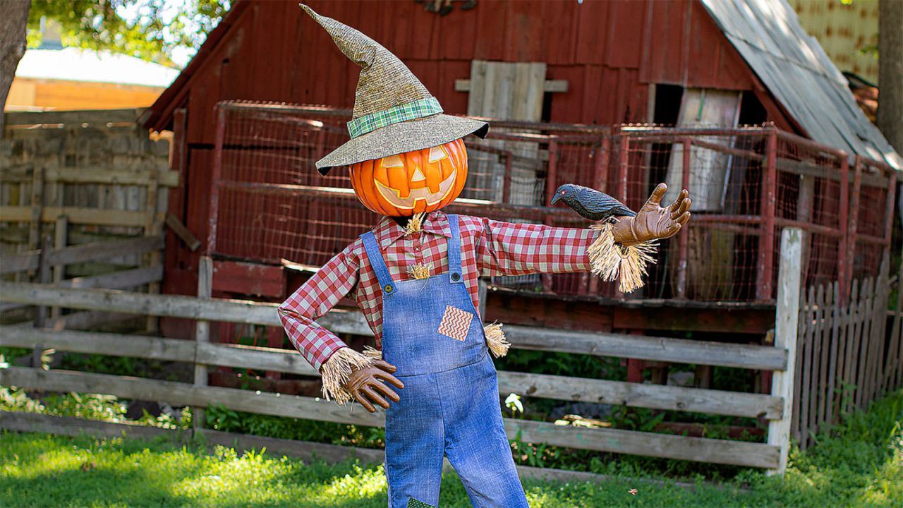 scarecrow_.jpg