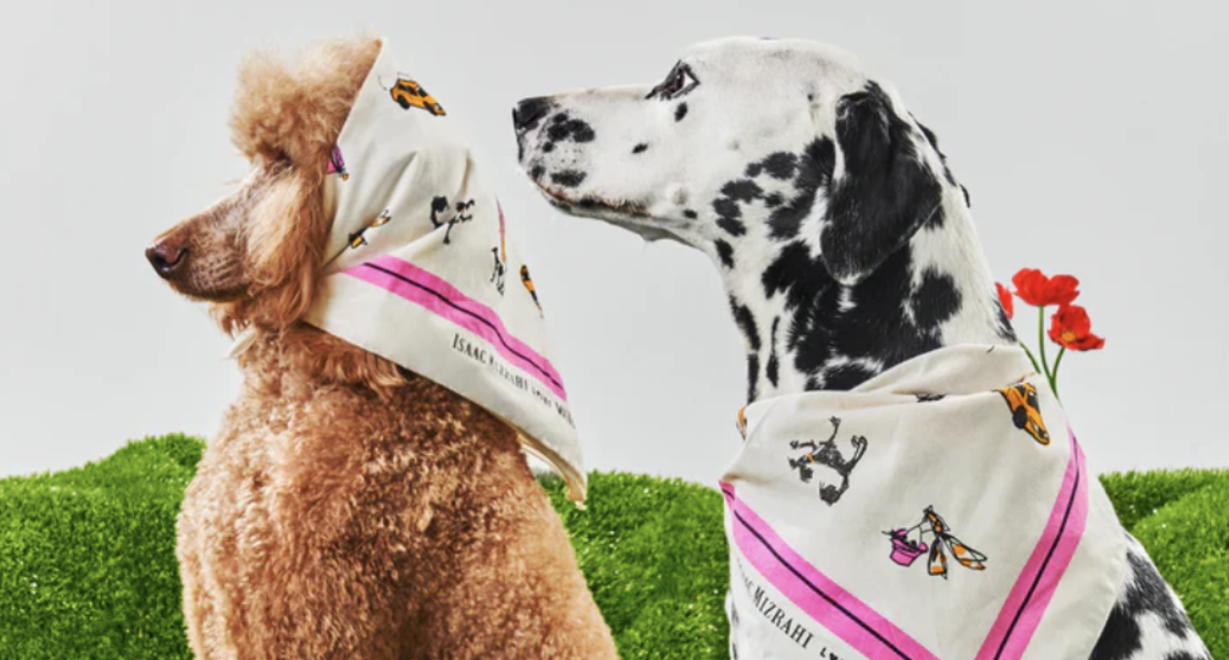 Wild One and Isaac Mizrahi Teamed Up For a Colorful Collab for Dogs · The  Wildest