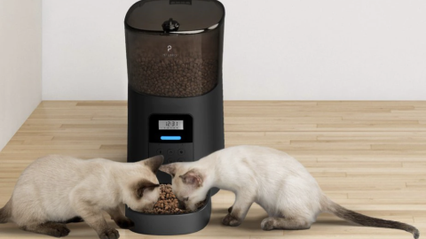 petlibro feeder pet cnnu Chewy