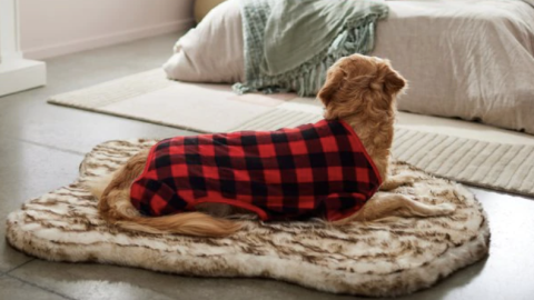 frisco fleece pjs pet cnnu