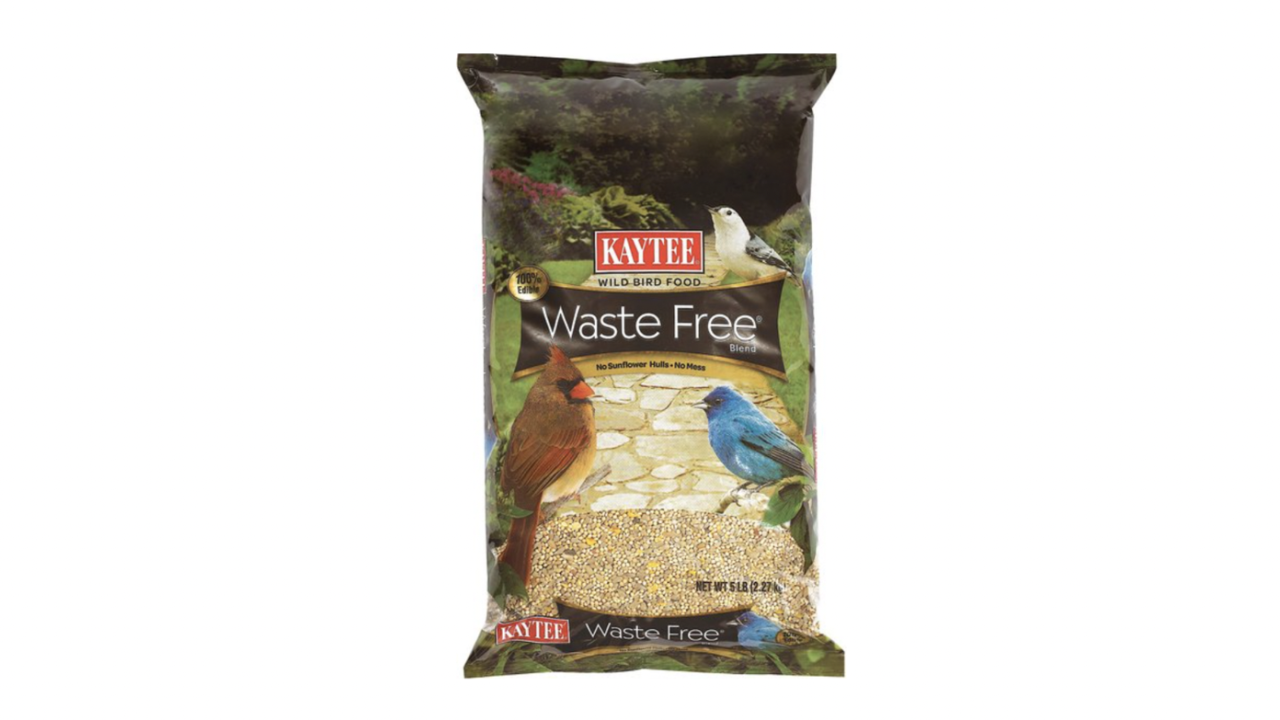 kaytee bird feed Chewy cnnu