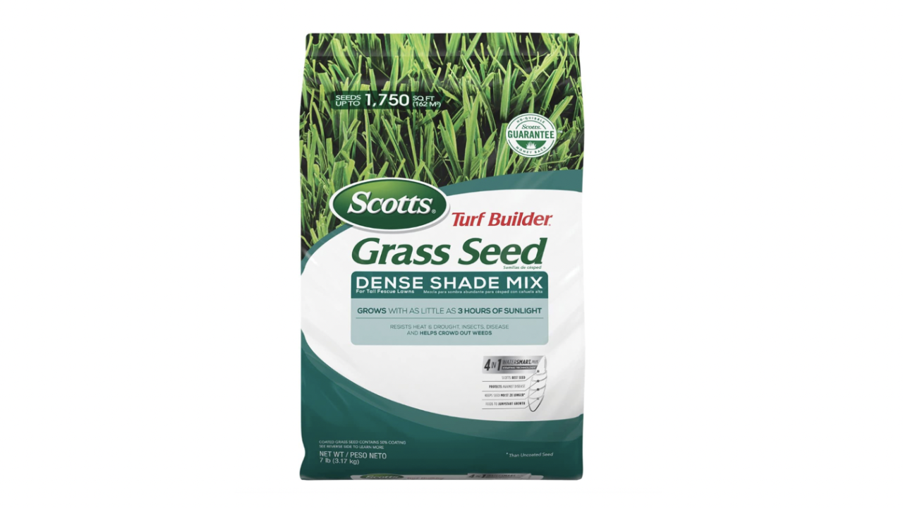 scotts lawn care seed grass cnnu