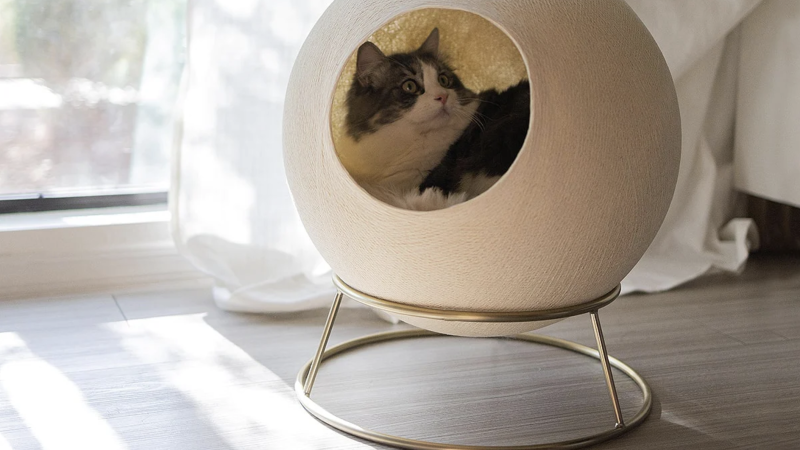 Tuft + Paw exclusive: Save on modern cat furniture and more