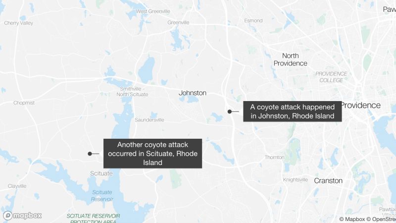 Um coiote raivoso provavelmente atacou dois residentes de Rhode Island com apenas um dia de diferença em cidades vizinhas