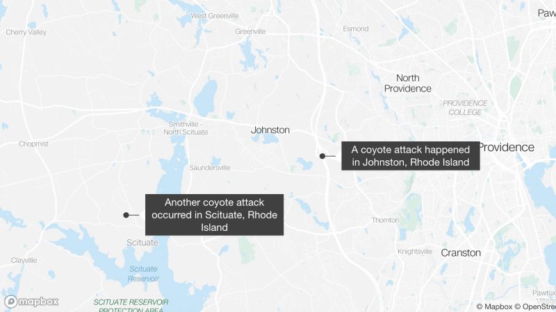 Wściekły kojot prawdopodobnie zaatakował w sąsiednich miastach dwóch mieszkańców Rhode Island w odstępie jednego dnia Wściekły kojot prawdopodobnie zaatakował w sąsiednich miastach dwóch mieszkańców Rhode Island w odstępie jednego dnia