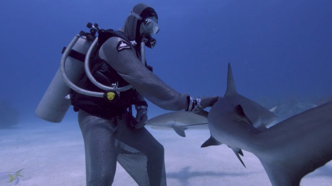In recent decades, a number of commercial dive outfits have emerged to offer adventure tourists the chance to observe sharks first-hand.