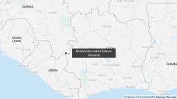 People living near a chimpanzee research center in Guinea attacked the facility on Friday after a woman said one of the animals had killed her infant, the center’s managers said.