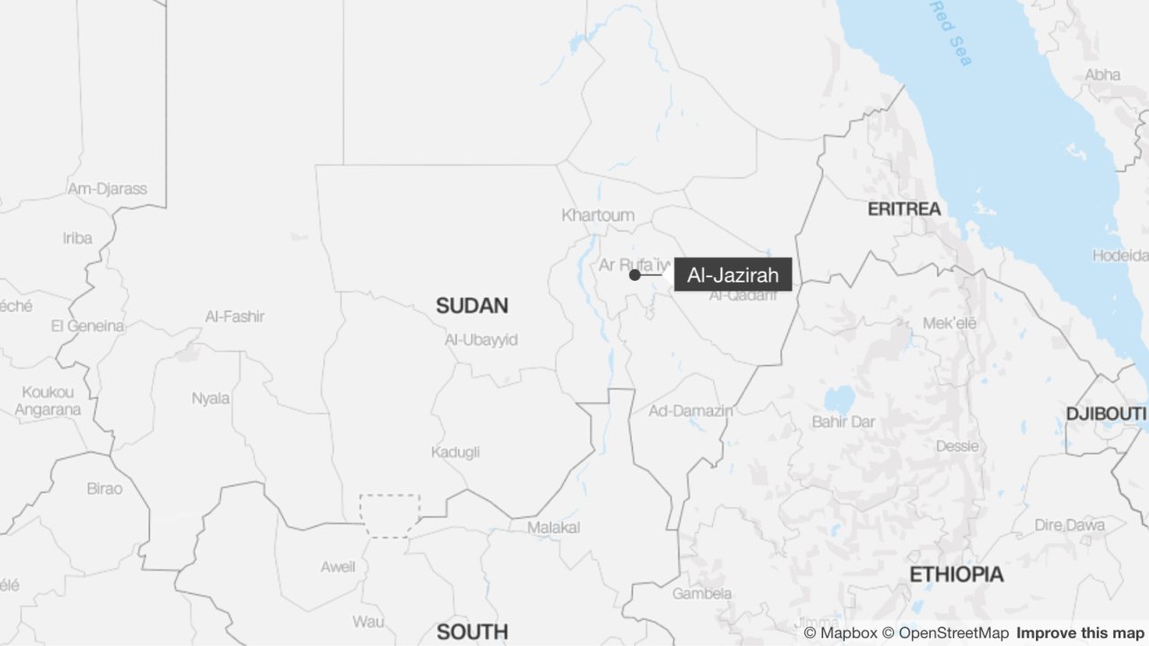 At least 124 people were killed in attack by the Sudanese paramilitary group the Rapid Support Forces (RSF) on a village south of Sudan's capital Khartoum on Friday, activists and doctors say.