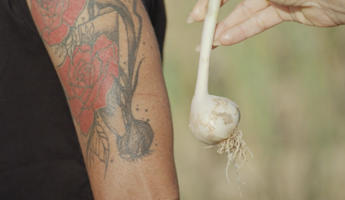Chef Miriam Hernández is on a mission to revive ajo fino, the native garlic of her hometown Chinchón, Spain.