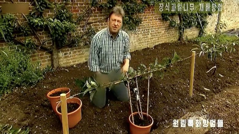 Alan Titchmarsh appears in the BBC TV series Garden Secrets, which was rebroadcast by North Korea's KCTV with a blur applied to the jeans he's wearing.