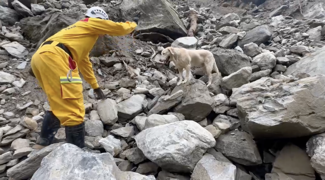 Roger takes part in a search operation after last week's earthquake.