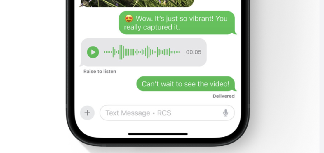 iOS 18 iPhone with "Text Message ? RCS" in the text field.