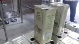 olive oil fraud