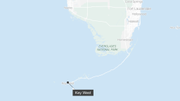 Shark attacks surfer near Maui beach | CNN