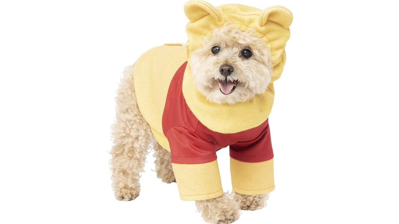 Winnie the Pooh dog costume