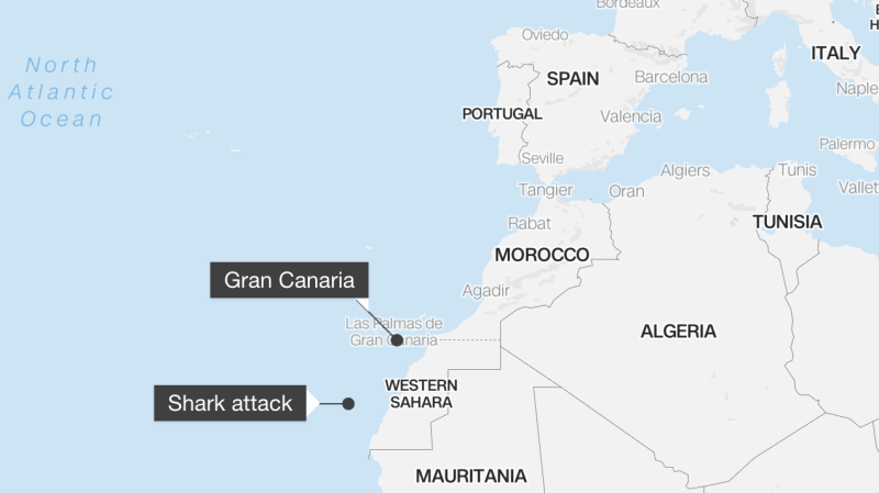 Une Allemande décède après une attaque de requin près des îles Canaries