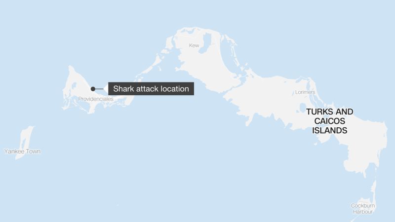 Shark attacked tourist as she tried to take its picture in Turks and Caicos, authorities say