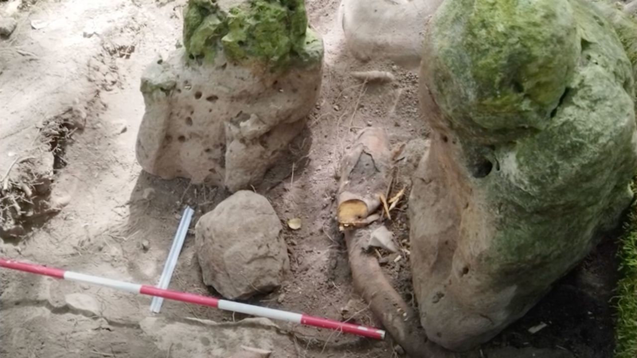 A nearly 3,000-year-old Mayan village was discovered in northern Guatemala