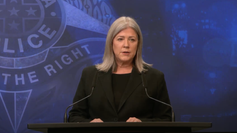 Victoria Police Acting Commander Janet Stevenson addresses media about the childcare worker's arrest on Tuesday, July 1.