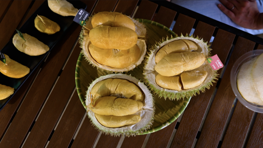 Een paar verschillende soorten Durian fruit in Duriianbb Park in Maleisië.