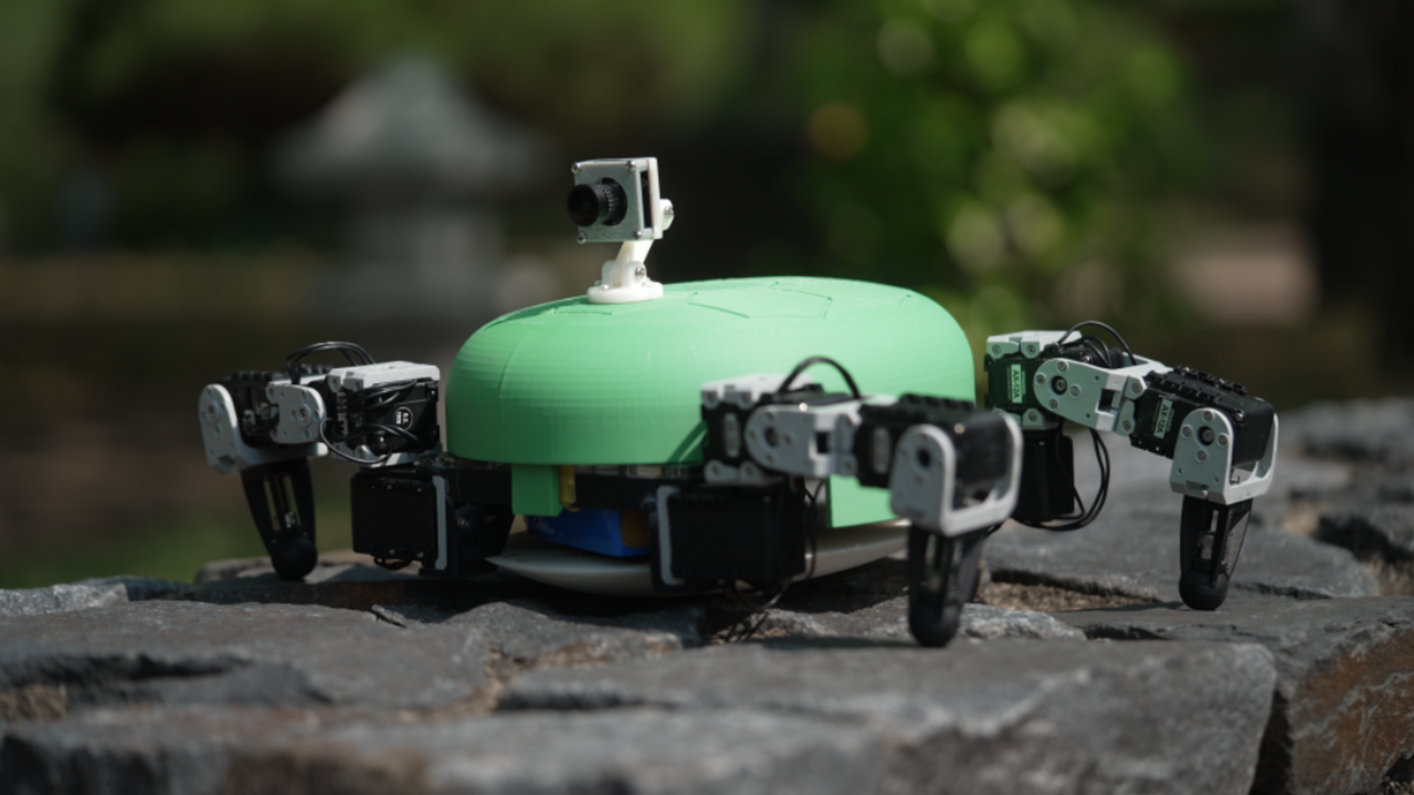 Robot tortoise made by students at DGIST in South Korea. July 2025