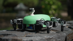 Robot tortoise made by students at DGIST in South Korea. July 2025