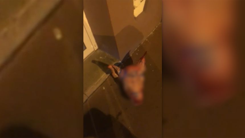 In this intentionally blurry photo, the head of a pig abandoned outside a mosque in Paris on Tuesday can be seen on the floor.