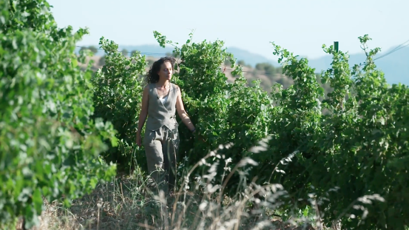 How a few quiet words help produce top quality Turkish wine