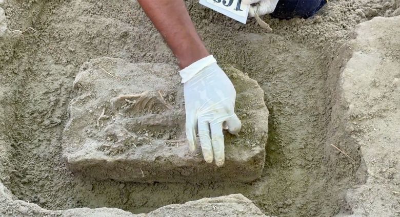 An investigator sweeps earth away from what are believed to be the remains of a young child at the Chemmani gravesite, in Jaffna, northern Sri Lanka on August 29, 2025.