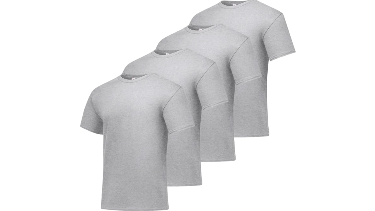 Hanes Men's Essentials Short Sleeve T-shirt
