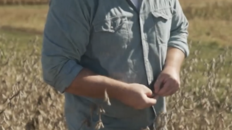 Farmer on crops’ decrease in value: ‘Man-made crisis caused by Donald Trump’