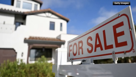 Screenshot 2025-11-15 at 11.29.15 AM.png