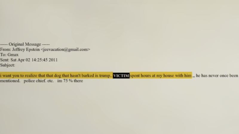 Why was Trump referred to as the ‘dog that didn’t bark’ in the Epstein email?