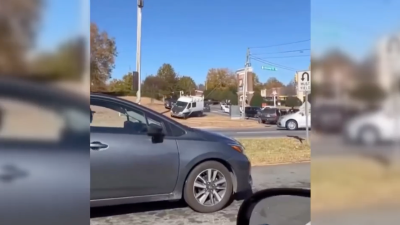 Screenshot 2025-11-17 at 8.41.12 AM.png