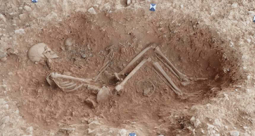 An image of one of the female skeletons sampled as part of the study. She was found cradling a newborn child.